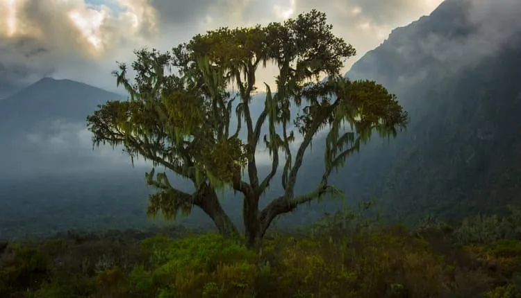 4-day Mount Meru climb 3