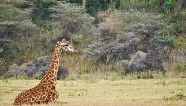 3-day trek on Mount Meru 2