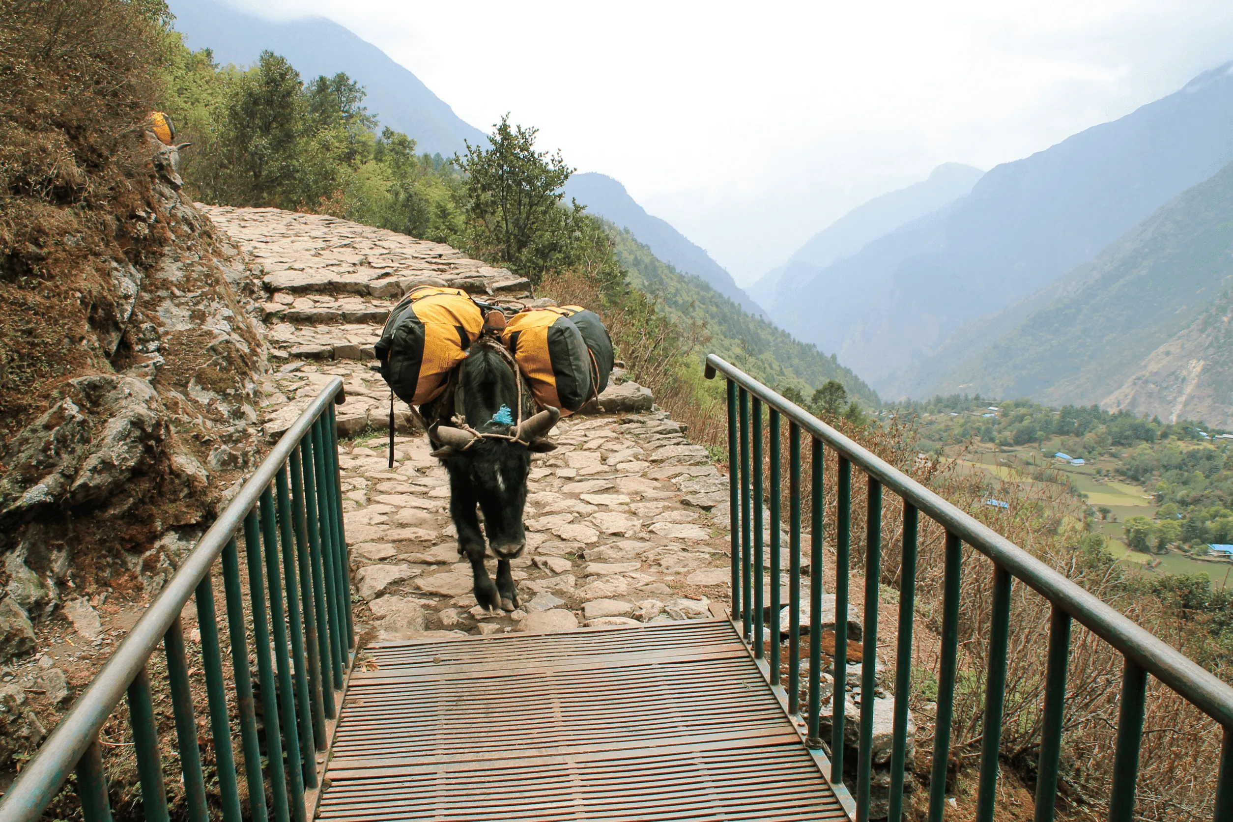 Ruta Rápida al Campo Base del Annapurna
 6