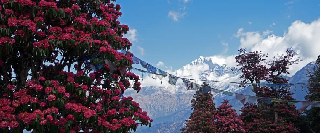 Best Time for Trekking in Nepal: Weather and seasons explained.