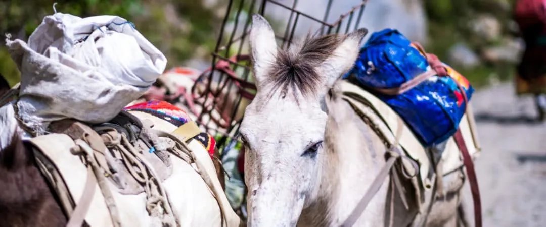 What To Pack For Your Trekking Adventure in Nepal