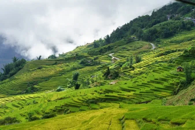 Fansipan Summit Trek 3