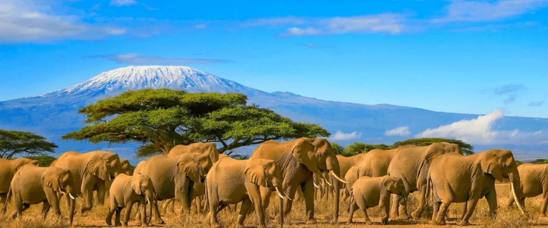 El Circuito Norte: La ruta más bella del Kilimanjaro