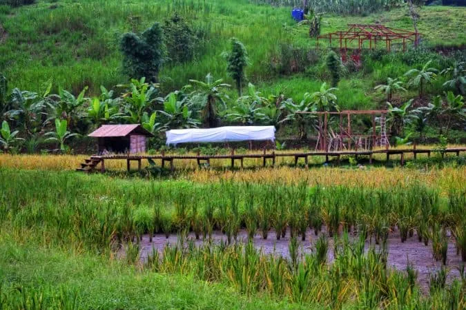 Sapa Giang Ta Chai Trek 3