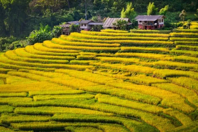 Sapa Giang Ta Chai Trek 4