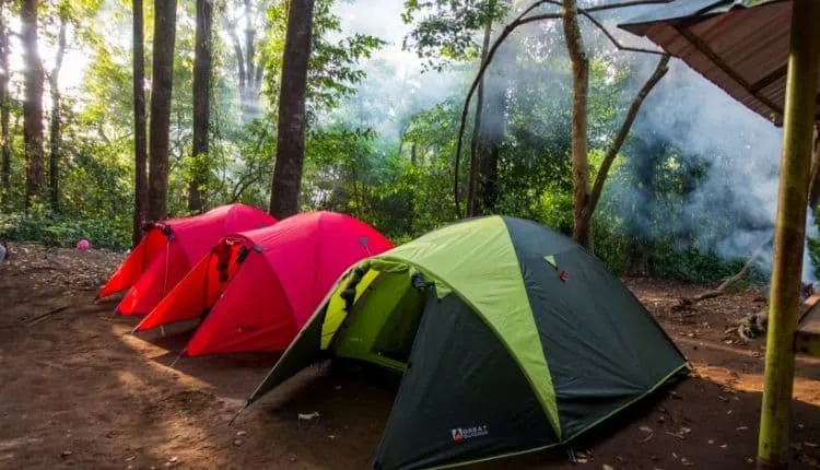 Trek to Crater Rim Senaru (recommended for beginners and experts) 2