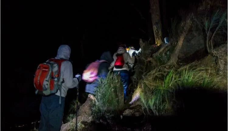 Short Trek to Crater Rim Senaru (recommended for experts) 3