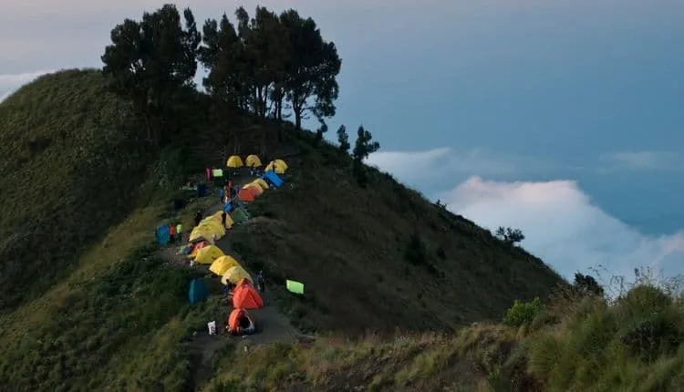 Rinjani Summit Trek 7