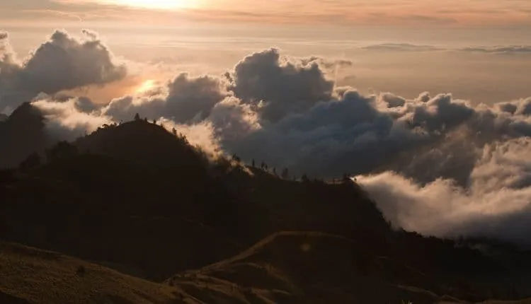 Trek to Senaru Crater Rim 3