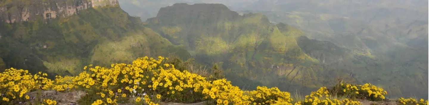 6 days in the Simien Mountains