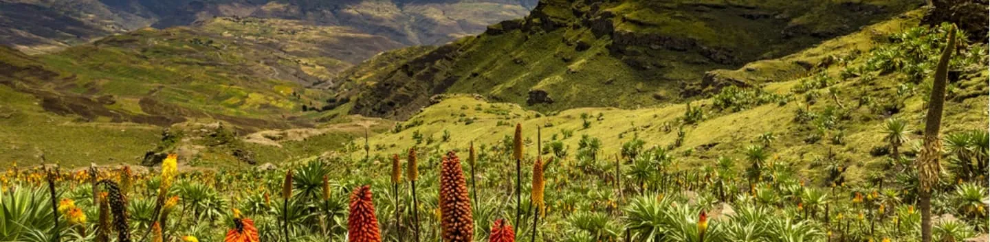 7-day Simien Mountains trek