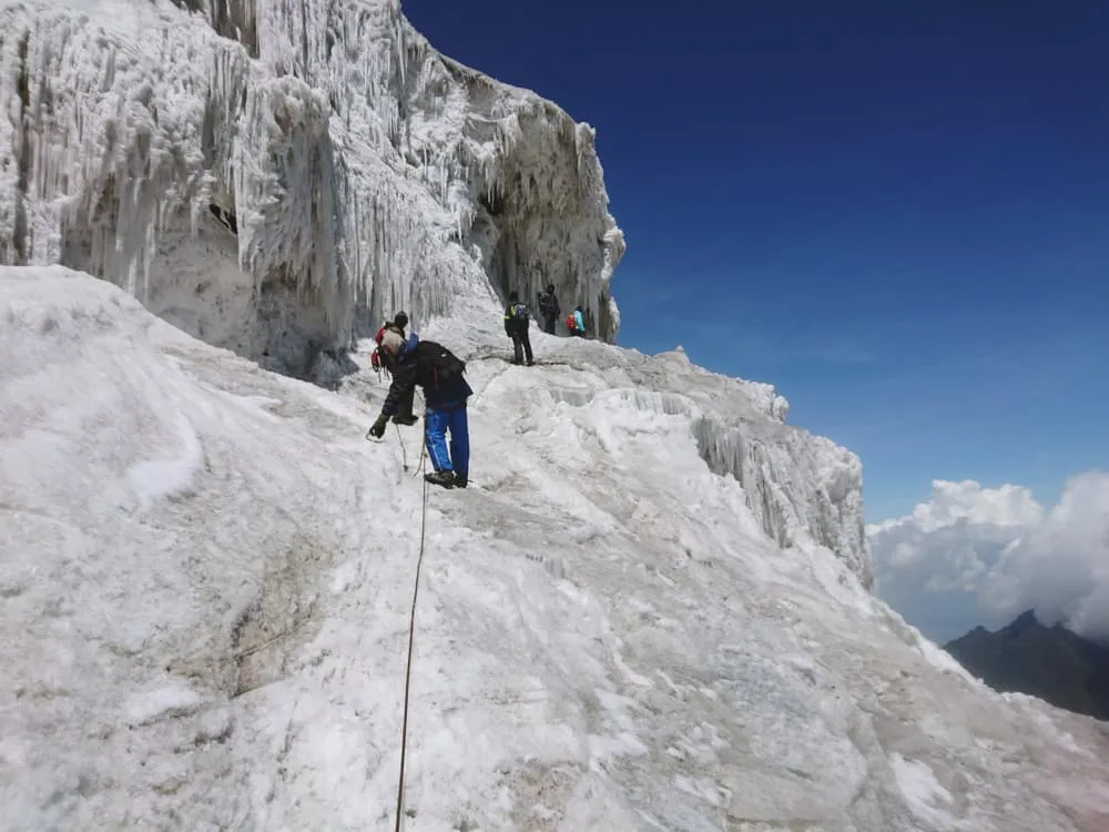 Gorilla Trekking & Rwenzori Mountain Hiking tour 7