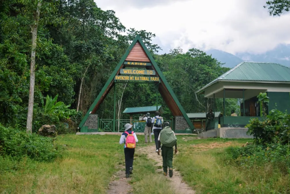Gorilla Trekking & Rwenzori Mountain Hiking tour 3