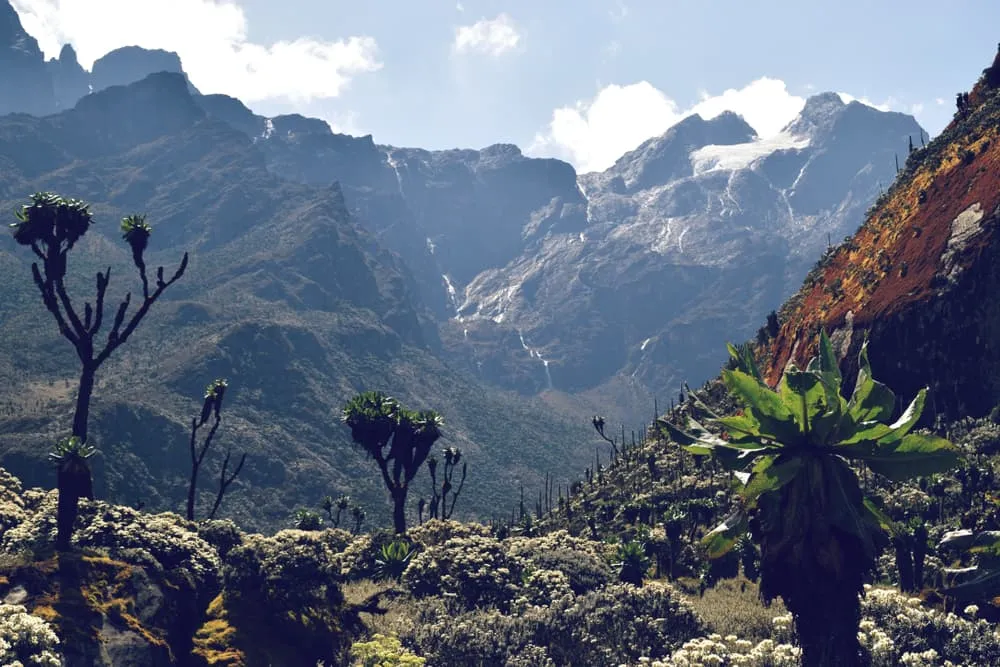 Central Circuit Rwenzori Mountians Trekking