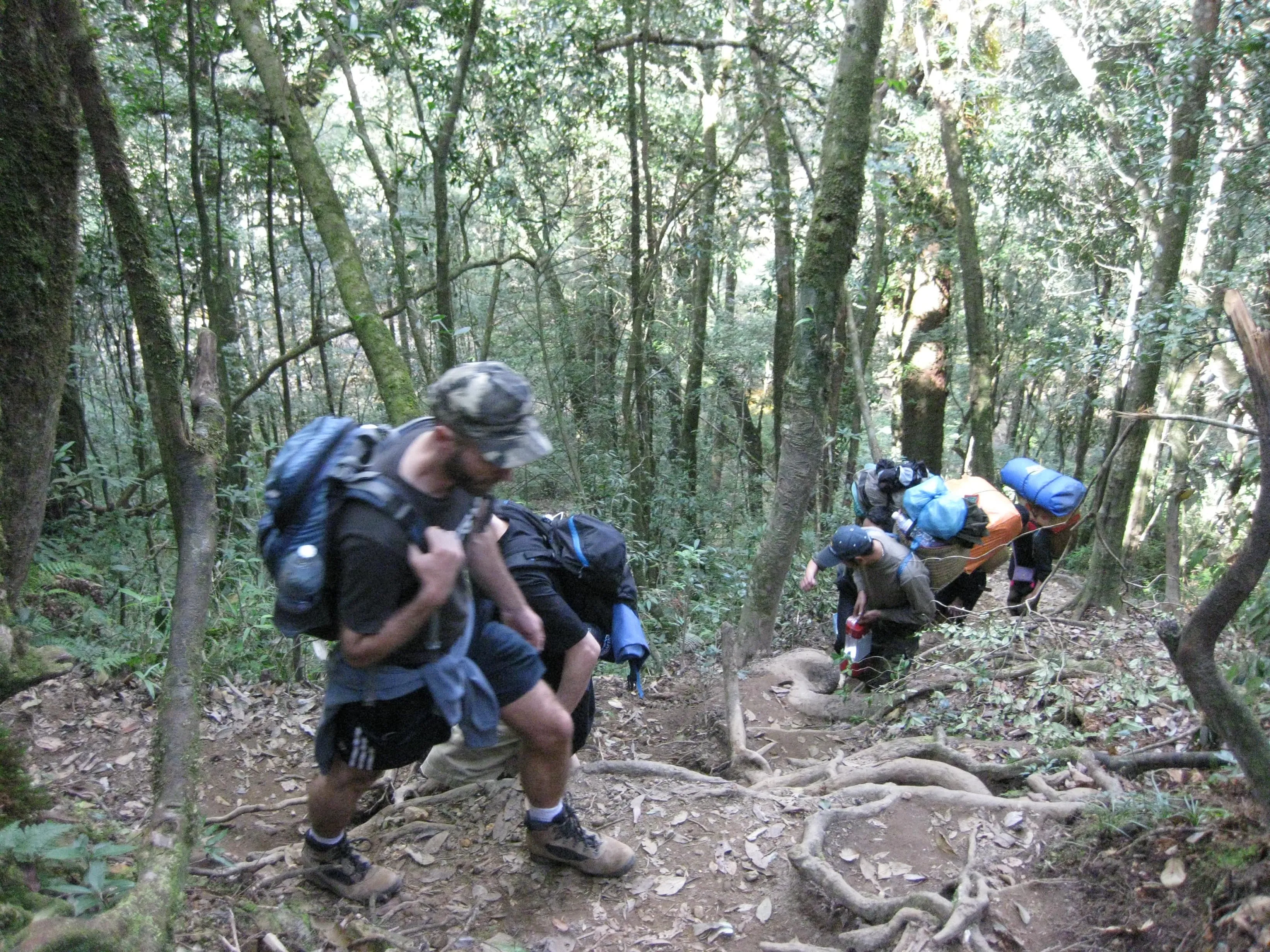 Discover Fansi Pan 1