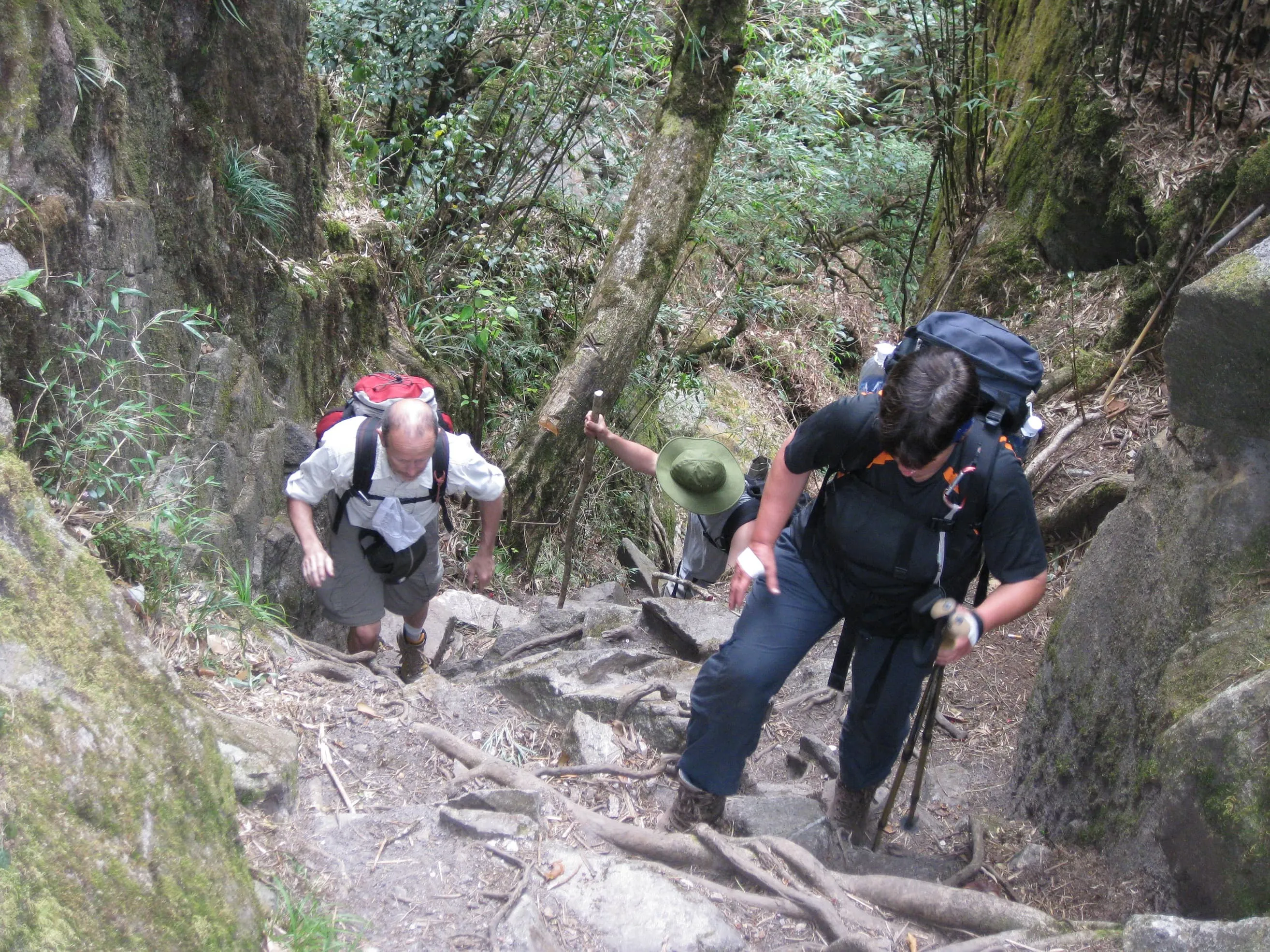 Discover Fansi Pan 4