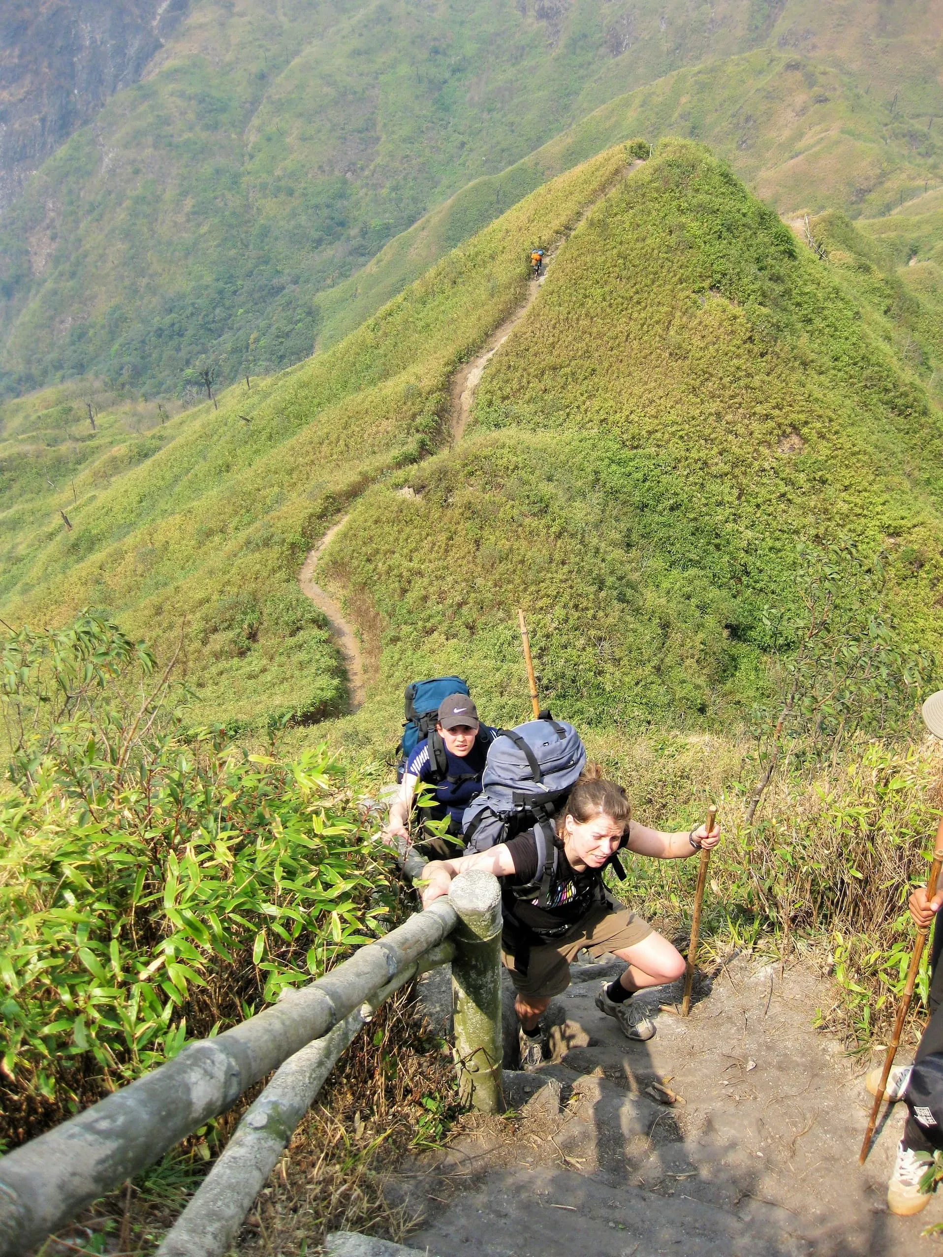 Discover Fansi Pan 5