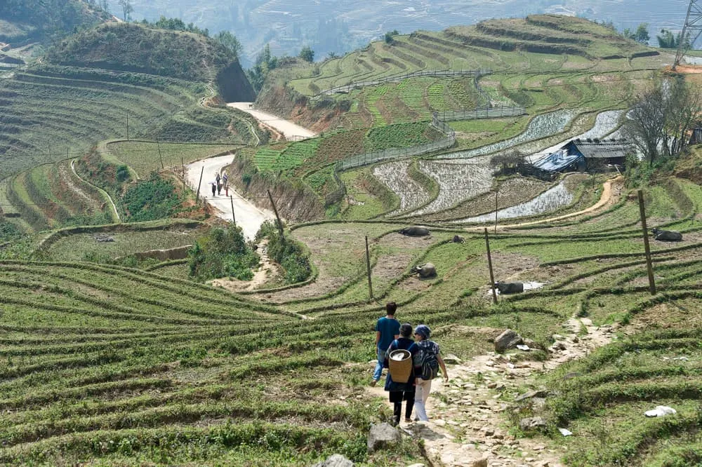 Muong Hoa Valley & Muong Bo Valley Trek 3