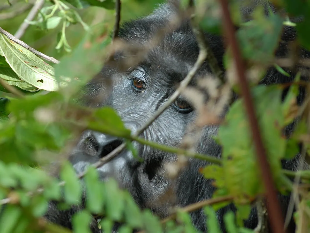15-Day Volcanoes Circuit