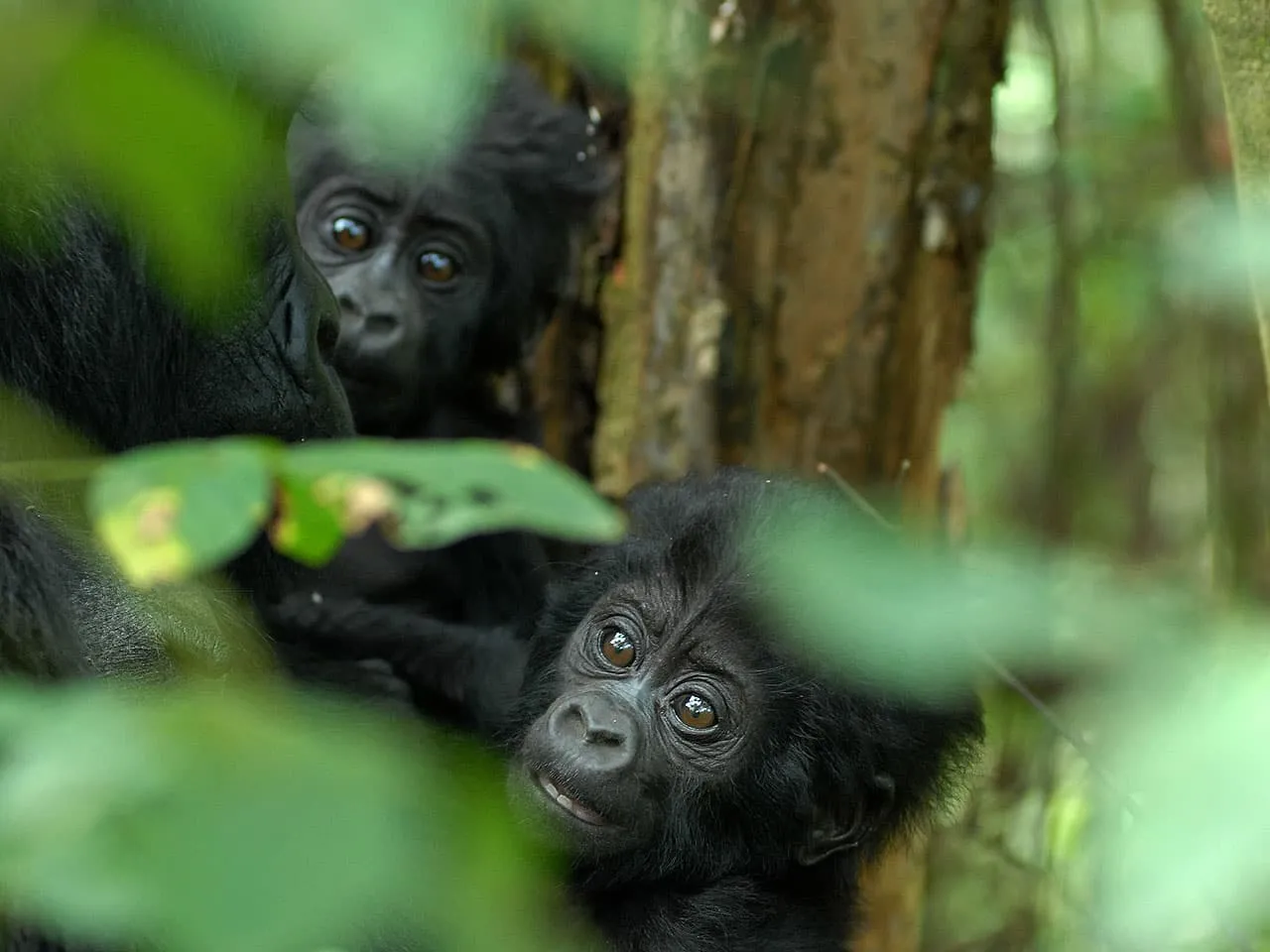 9 Day South Walking Adventure - NKuringo Walking Safari's 2