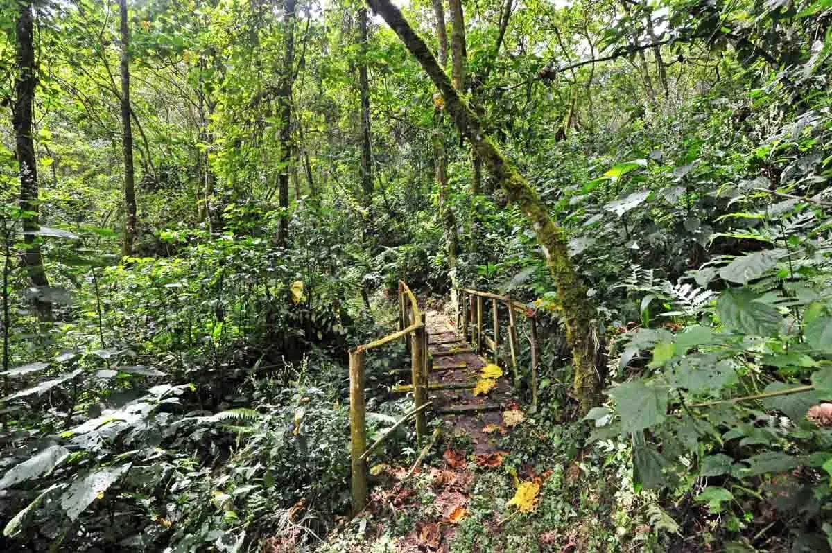 9 Day South Walking Adventure - NKuringo Walking Safari's