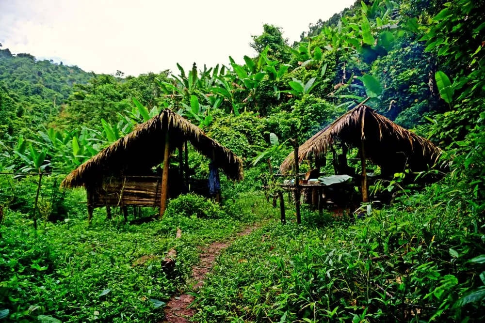Safari on the Nam Ha National Protected Area