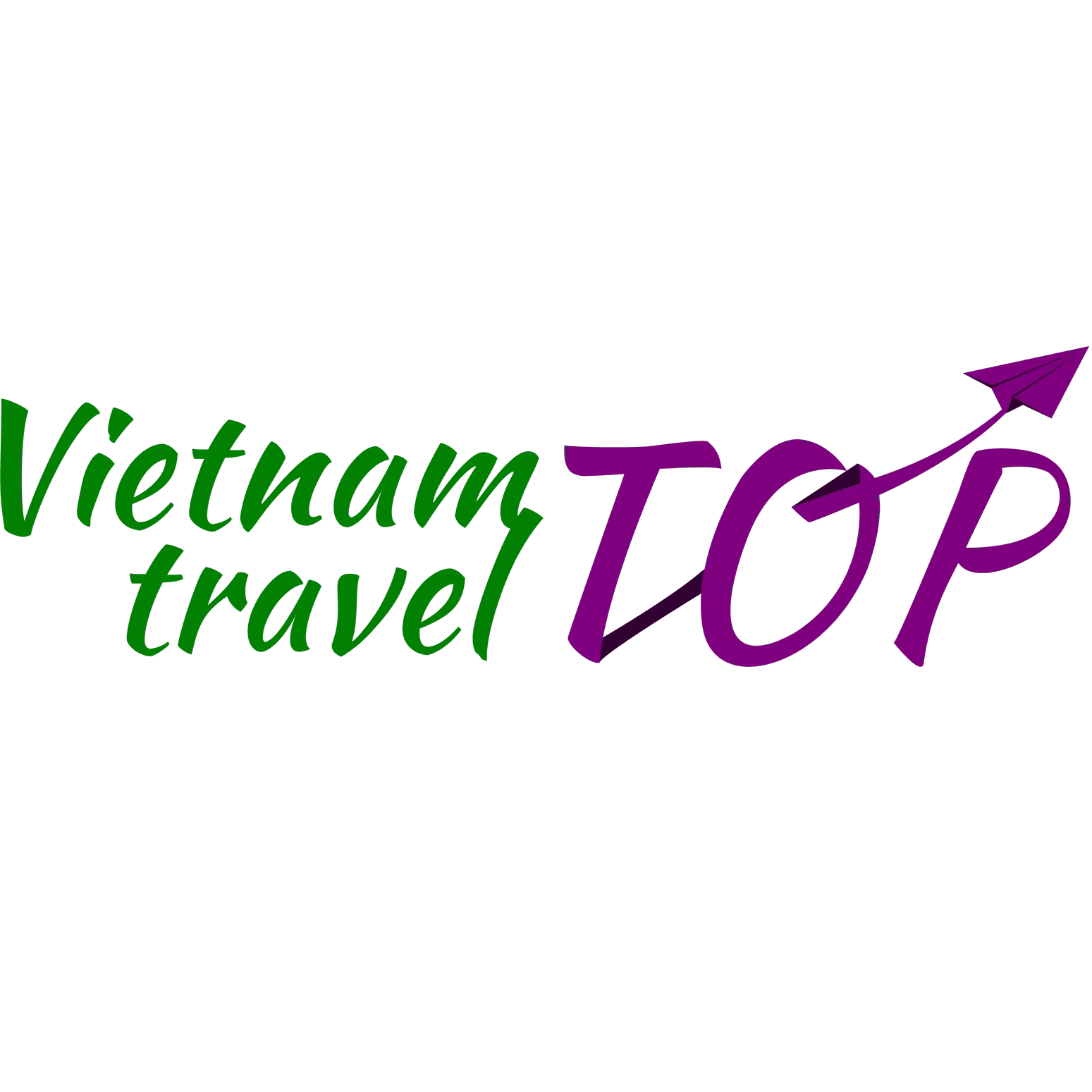 Vietnam Travel Top