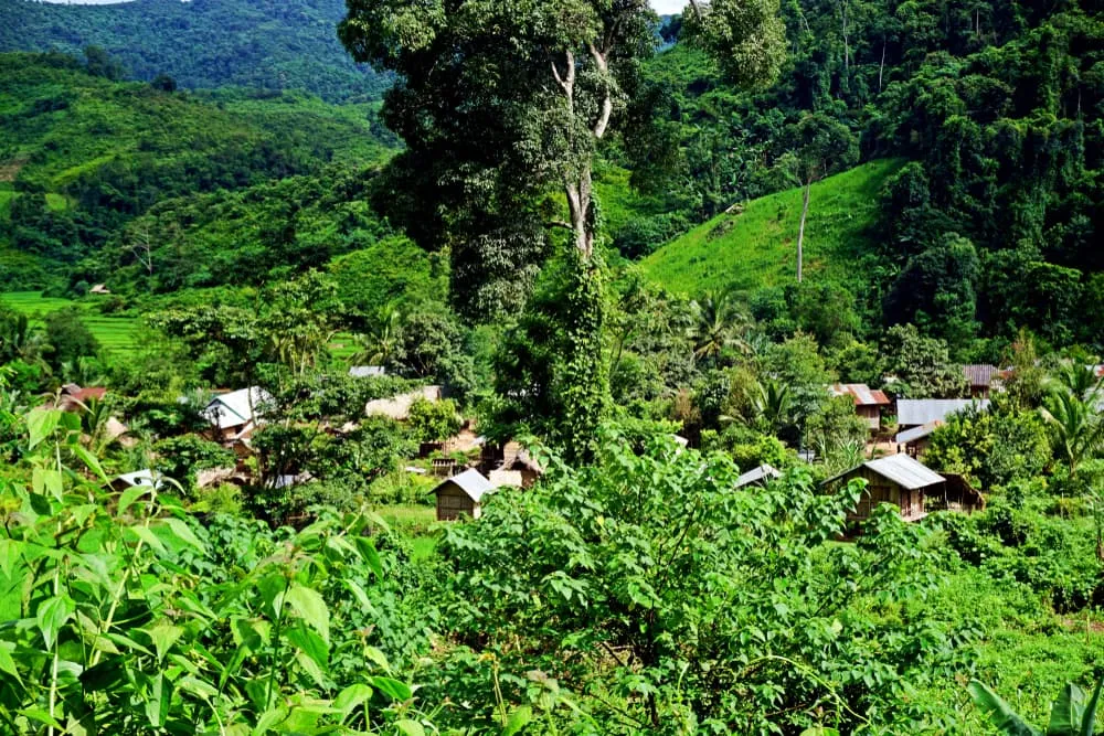 Wild Thrill Trails trek