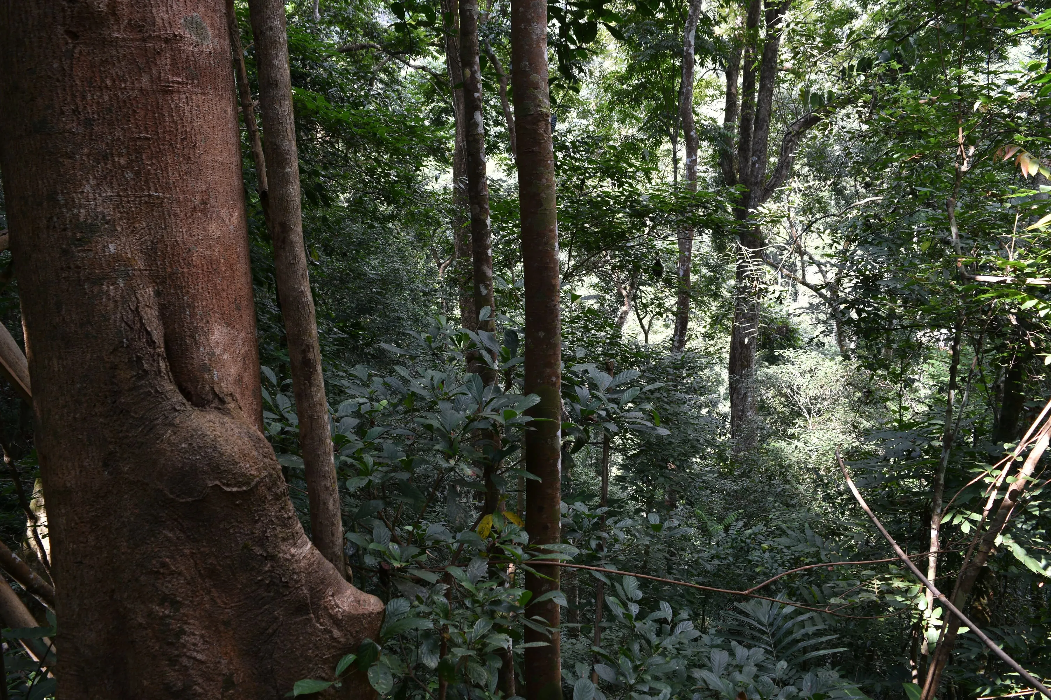 Hunter Trails Trek 3