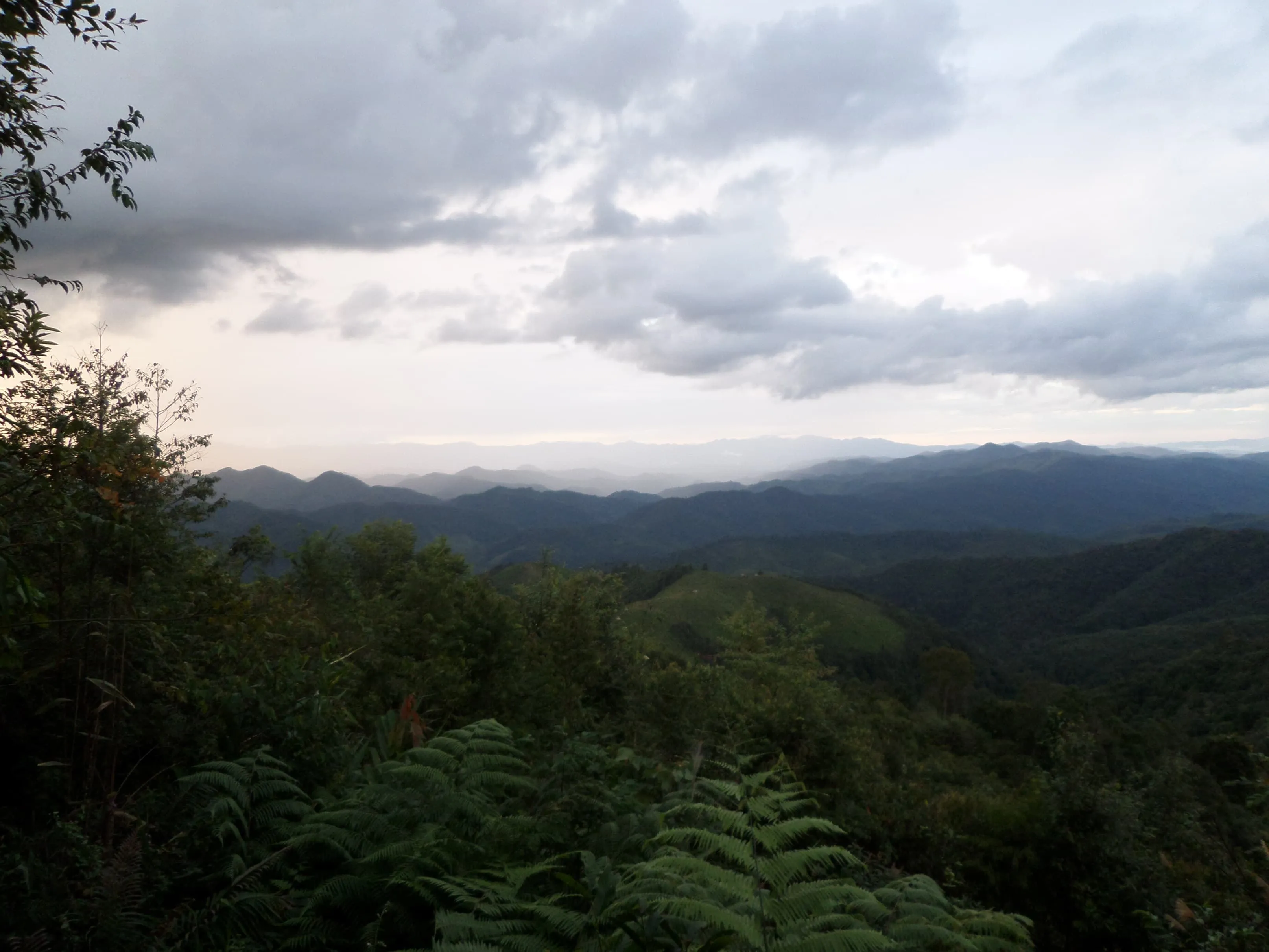 Hunter Trails Trek 6