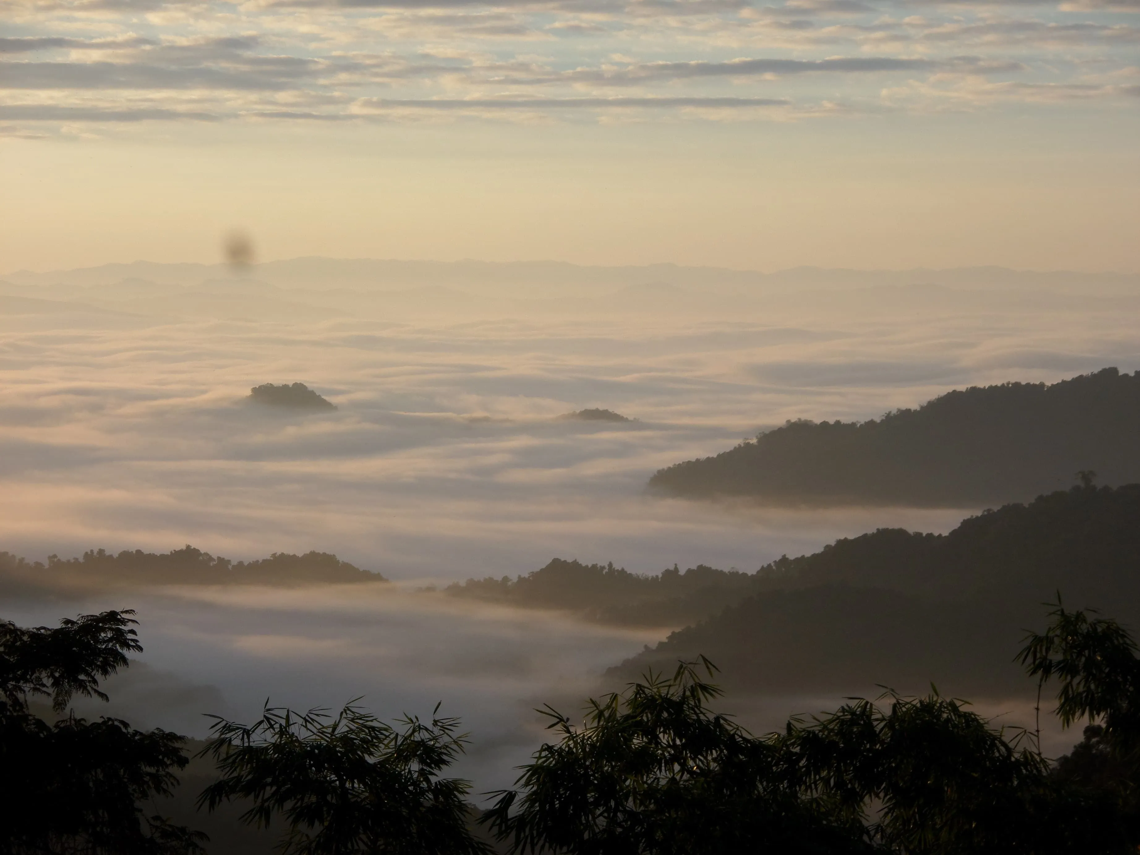 Safari on the Nam Ha National Protected Area 7