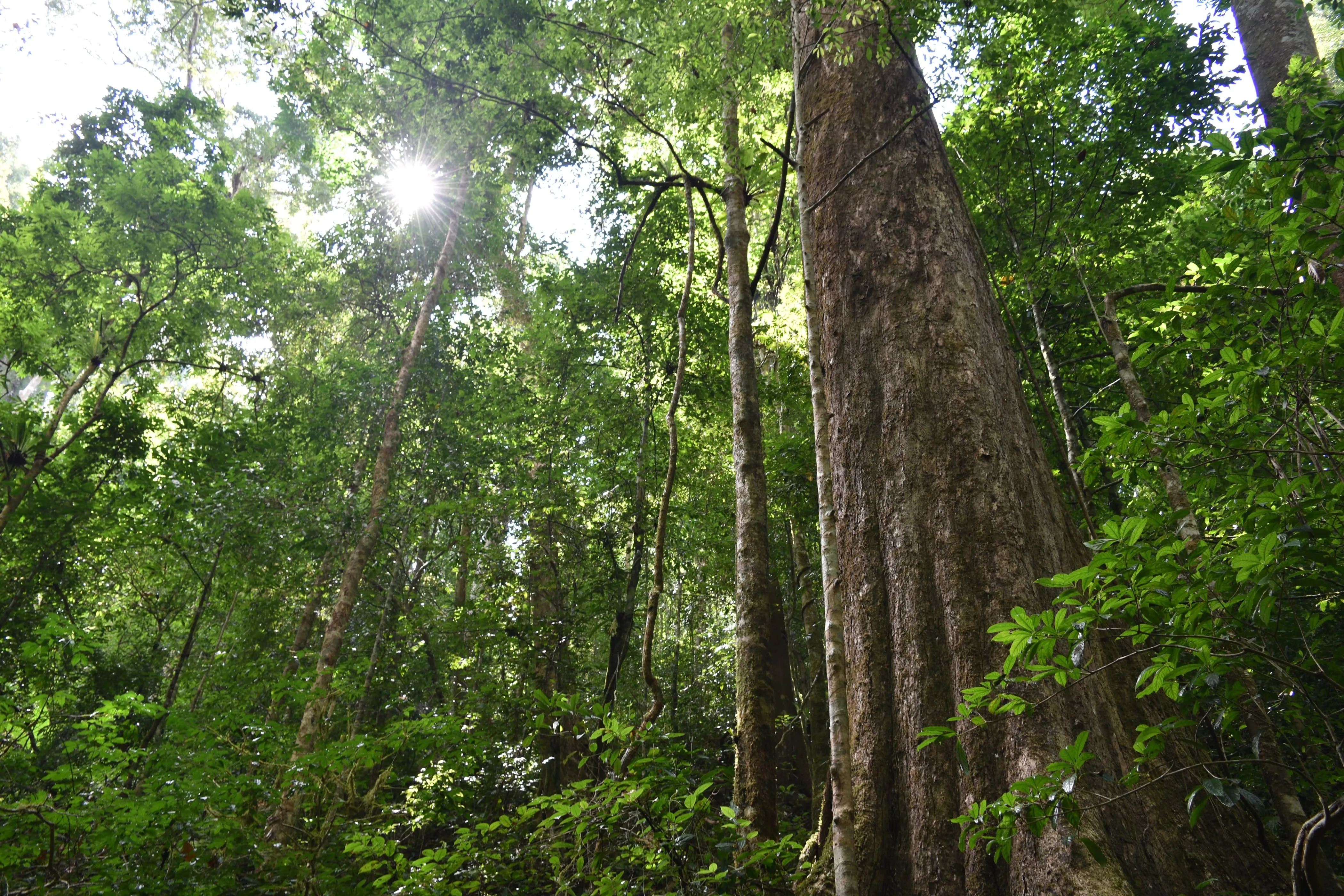 Namha Villages Experience Trek 1