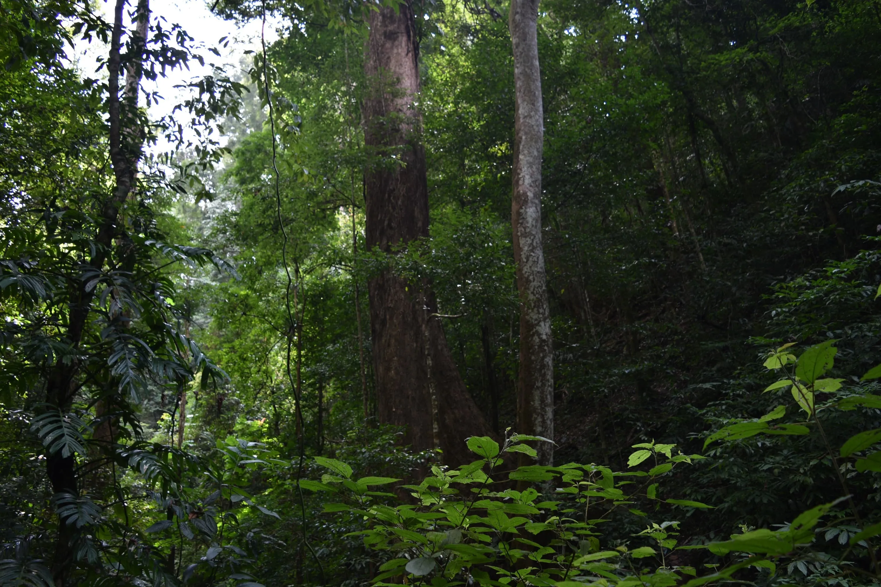 Namha Villages Experience Trek 2