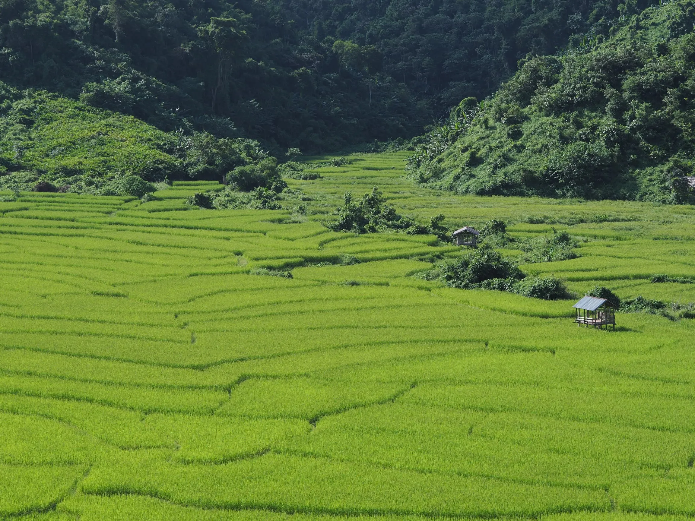 Namha Villages Experience Trek 8