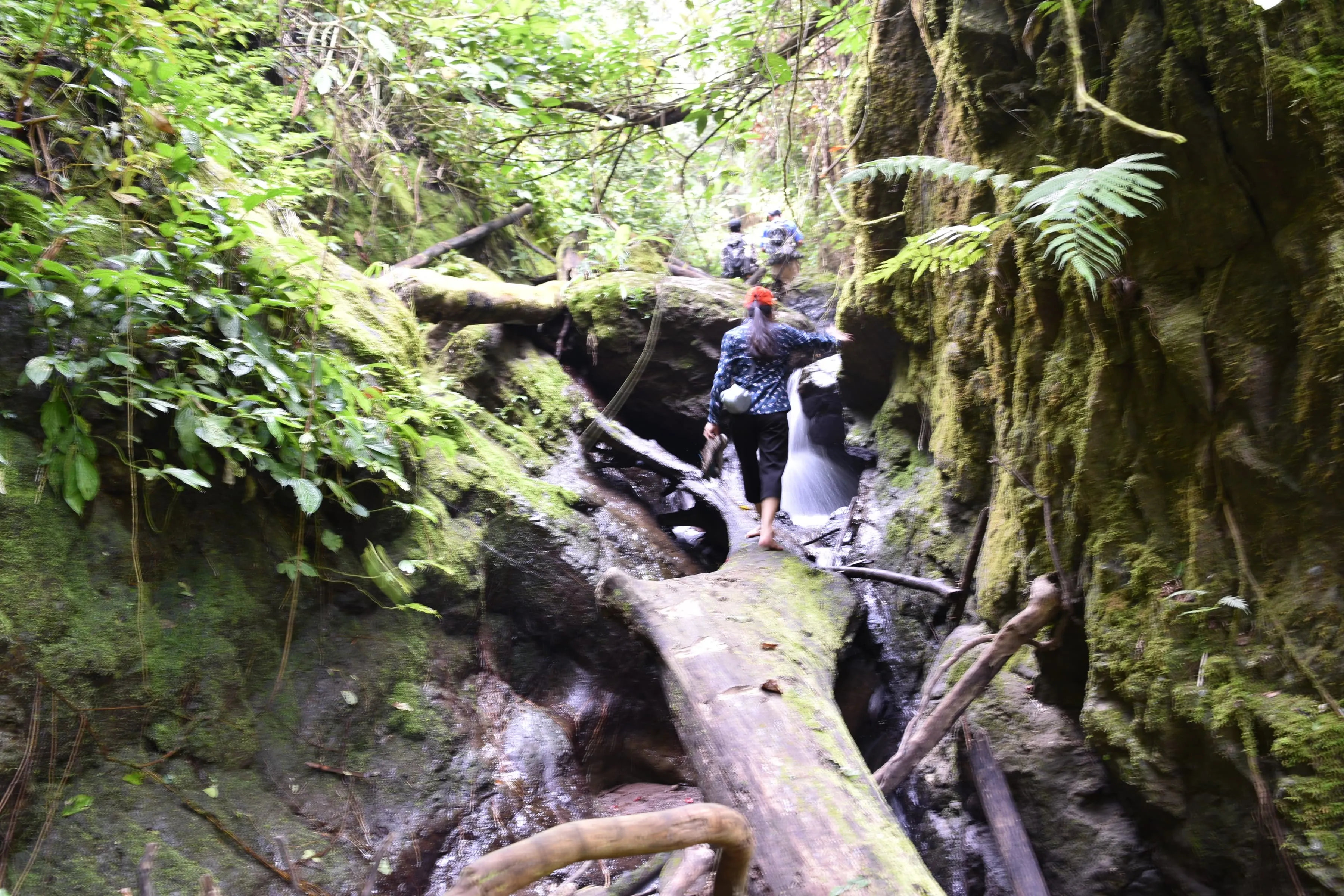 Nam Oun Wilderness Trail 1