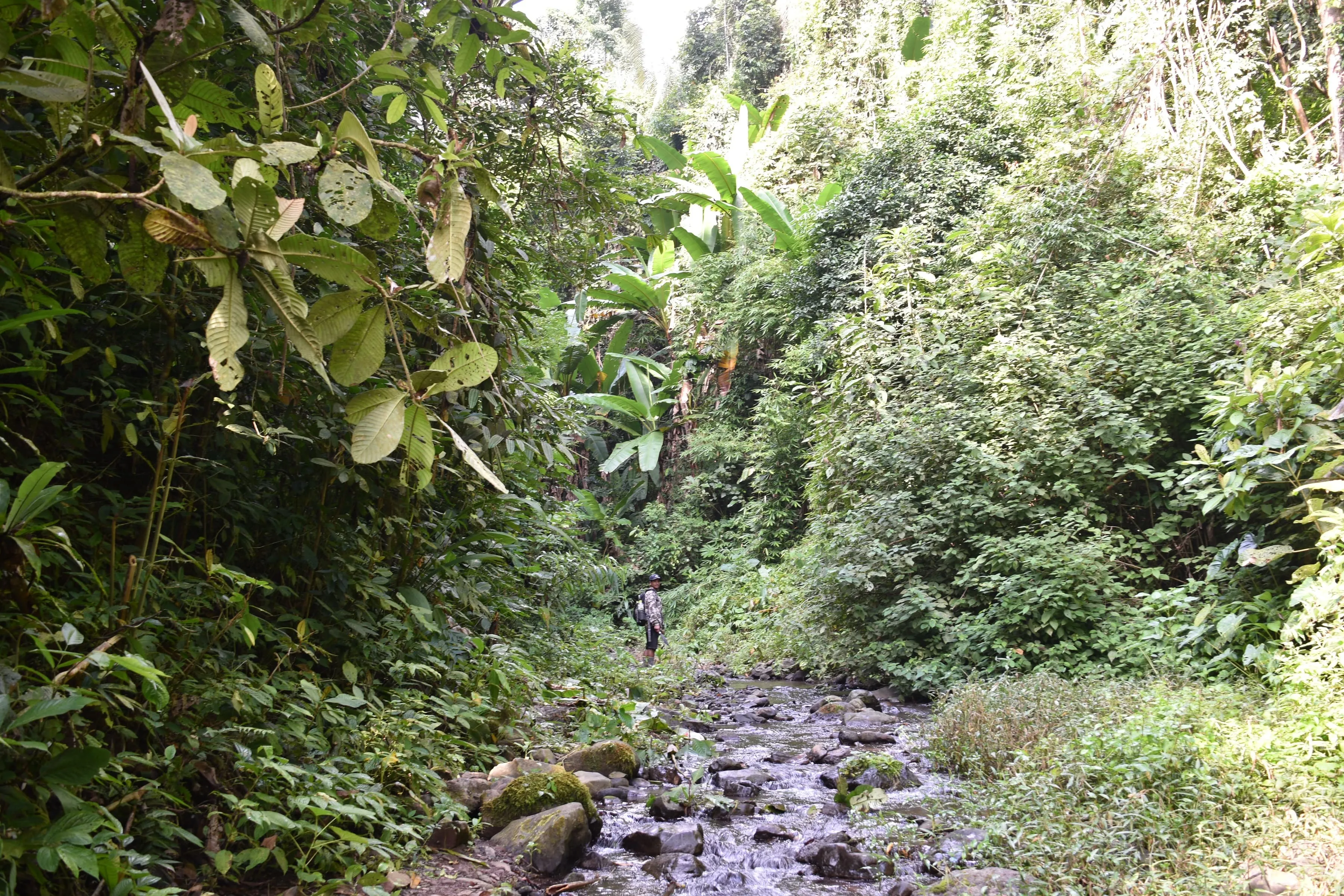 Nam Oun Wilderness Trail 6