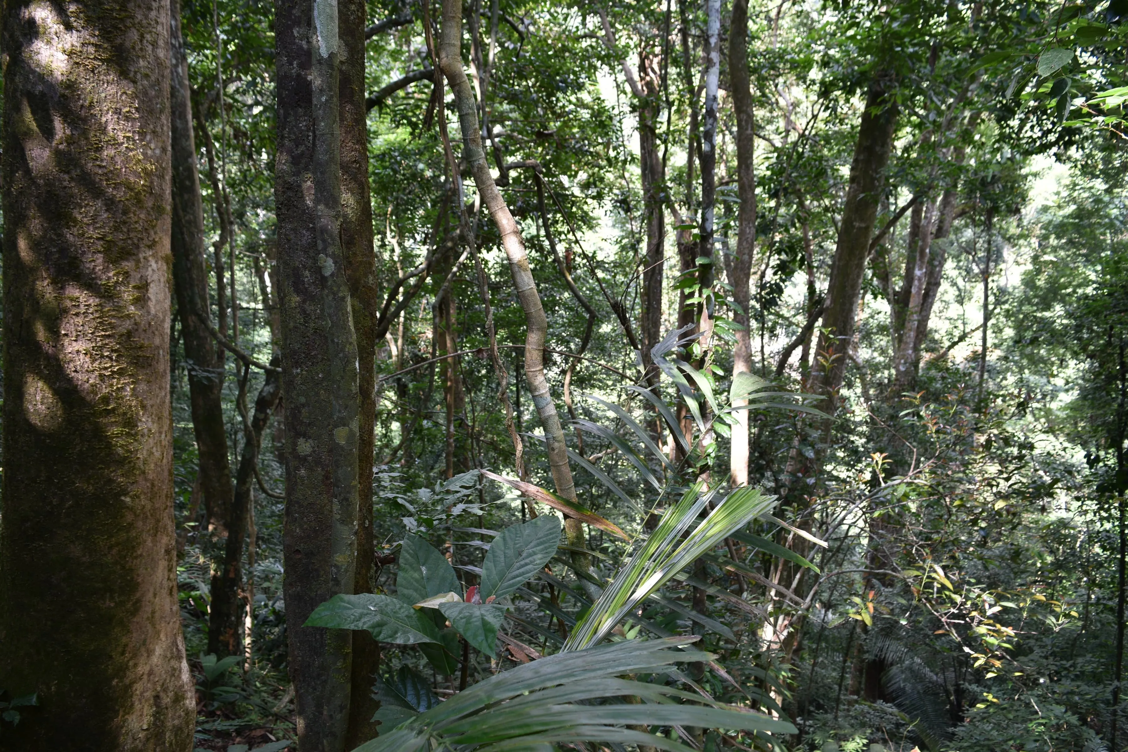 Trekking por senderos salvajes y emocionantes 3