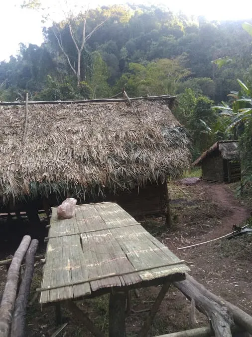 Trekking por senderos salvajes y emocionantes 5