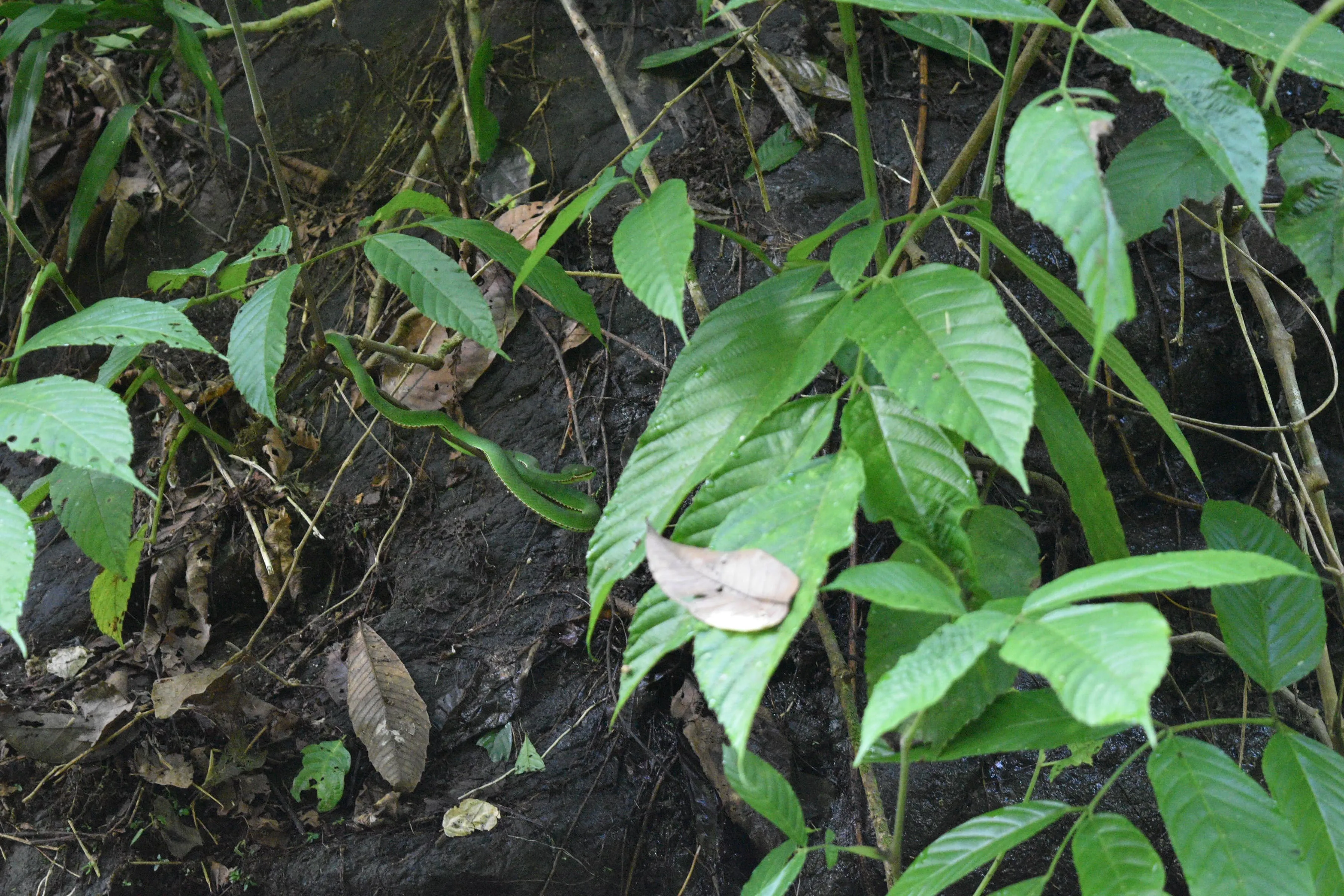 Trekking por senderos salvajes y emocionantes 6