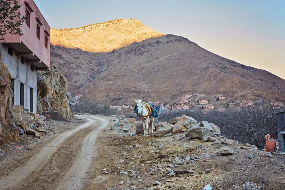 Trekking in the Atlas Mountains