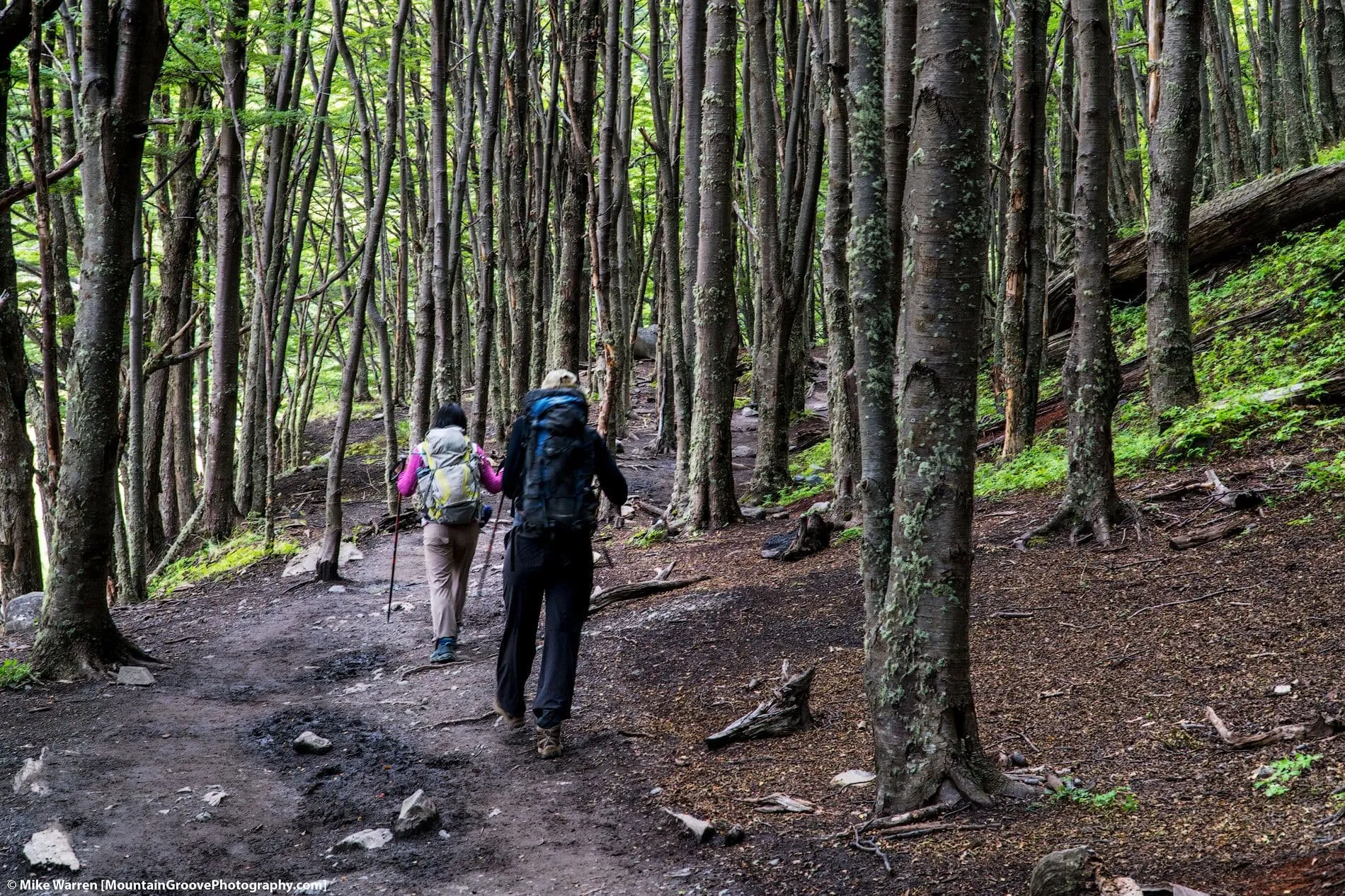 Self Guided W-Trek (Camping) 3