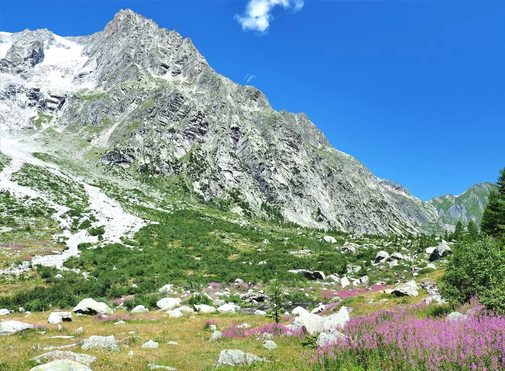 Full Tour du Mont Blanc (10 days) 4