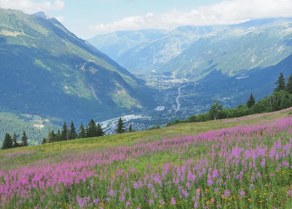 Full Tour du Mont Blanc (10 days) 1