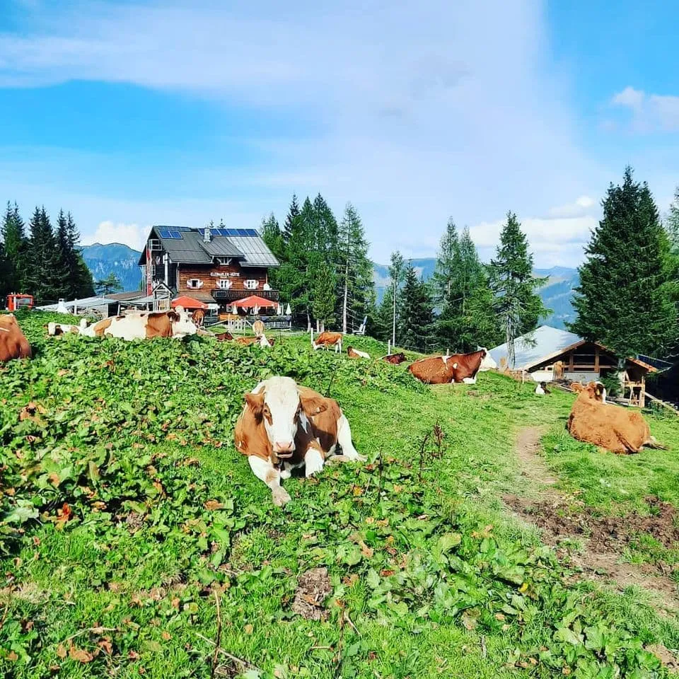 Accommodation in Huts on the Salzburger Almenweg
