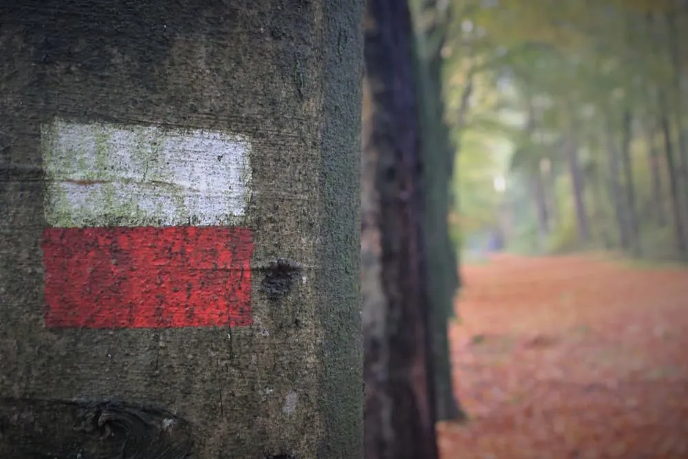 Pieterpad lopen: Dwars door Nederland van Pieterburen naar de Sint-Pietersberg