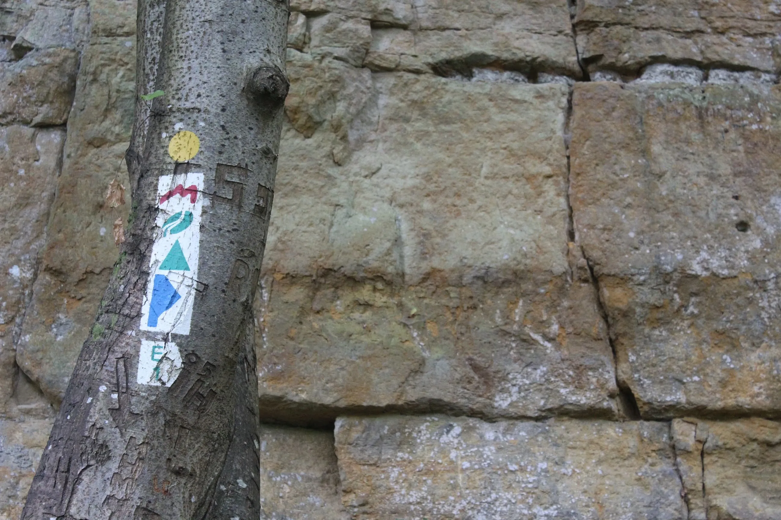 Tips 8: Förlora dig inte