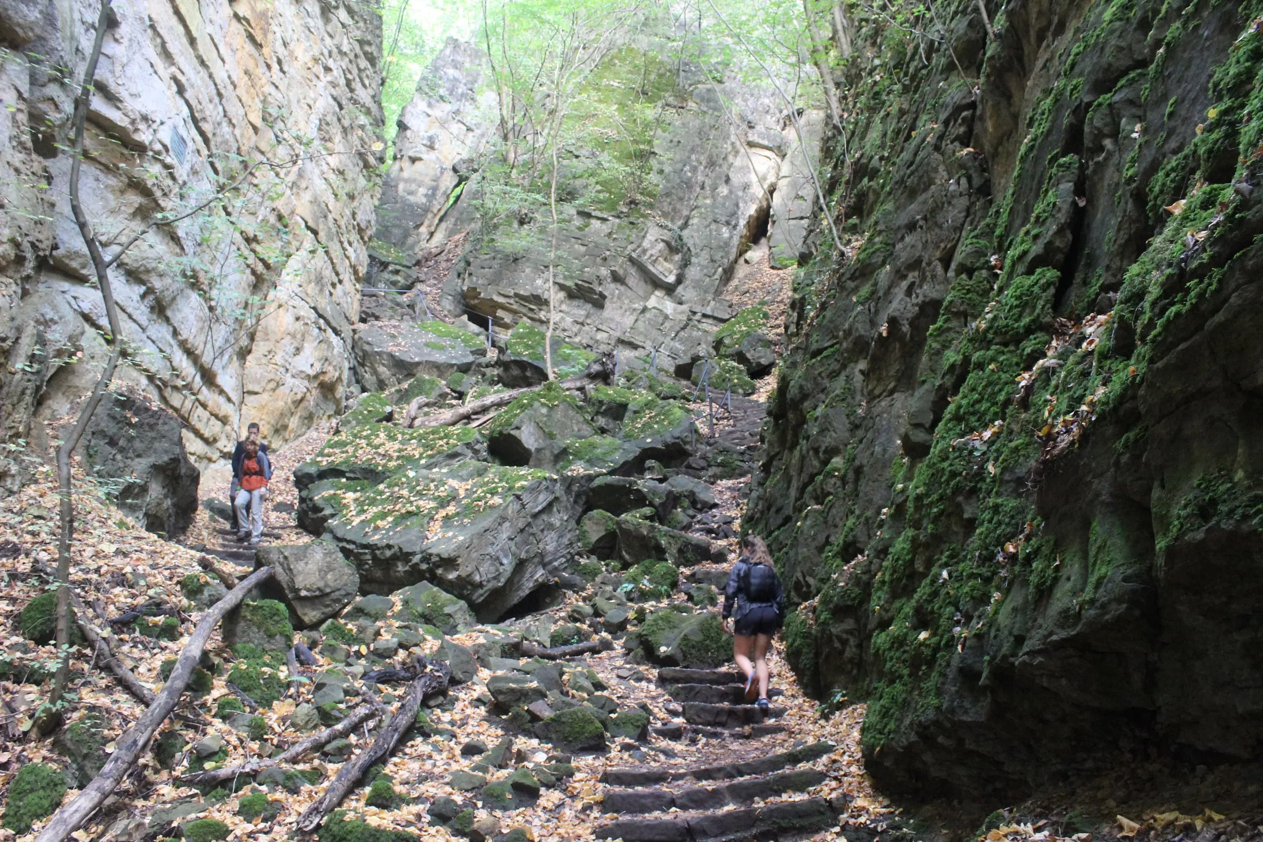 Tips 10: Boka din vandringsresa med Bookatrekking.com