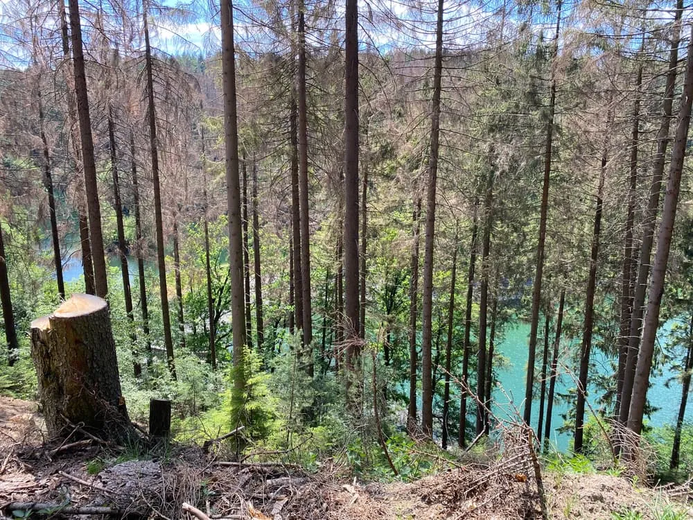 The 3 most beautiful stages of the Rothaarsteig 3