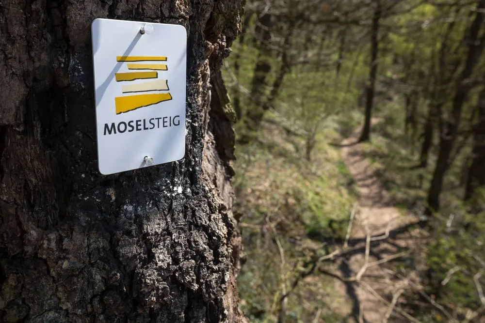 First part of the Moselsteig: Perl - Trier 14