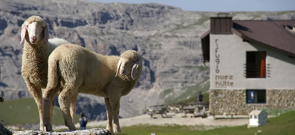 Rifugio Franco Cavazza al Pisciadù  (Staging)